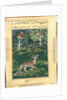 Page from Tales of a Parrot: Thirty-first night: The donkey, in a tiger?s skin…, 1558- by Basavana (attributed to)