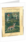 Page from Tales of a Parrot: Thirty-first night: The donkey, in a tiger?s skin…, 1558- by Basavana (attributed to)
