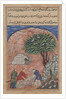 Page from Tales of a Parrot: Twentieth night: The suitors take…, c. 1560 by Unknown