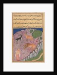 Page from Tales of a Parrot: Twenty-first night: The Brahman…, c. 1560 by Unknown