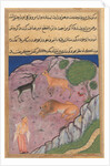 Page from Tales of a Parrot: Twenty-first night: The Brahman…, c. 1560 by Unknown