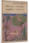 Page from Tales of a Parrot: Twenty-first night: The wolf and the jackal…, c. 1560 by Unknown