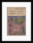 Page from Tales of a Parrot: Twenty-first night: The wolf and the jackal…, c. 1560 by Unknown