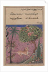 Page from Tales of a Parrot: Twenty-first night: The wolf and the jackal…, c. 1560 by Unknown