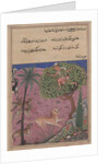 Page from Tales of a Parrot: Twenty-first night: The wolf and the jackal…, c. 1560 by Unknown