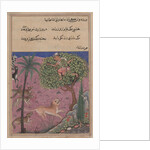 Page from Tales of a Parrot: Twenty-first night: The wolf and the jackal…, c. 1560 by Unknown