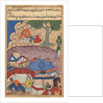 Page from Tales of a Parrot: Twenty-fourth night: Habbaza meets Bashir?, c. 1560 by Unknown