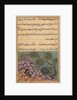 Page from Tales of a Parrot: Twenty-sixth night: The dethroned frog…, c. 1560 by Unknown