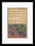 Page from Tales of a Parrot: Twenty-sixth night: The dethroned frog…, c. 1560 by Unknown