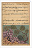 Page from Tales of a Parrot: Twenty-sixth night: The dethroned frog…, c. 1560 by Unknown