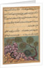 Page from Tales of a Parrot: Twenty-sixth night: The dethroned frog…, c. 1560 by Unknown