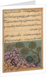 Page from Tales of a Parrot: Twenty-sixth night: The dethroned frog…, c. 1560 by Unknown