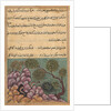 Page from Tales of a Parrot: Twenty-sixth night: The dethroned frog…, c. 1560 by Unknown
