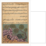 Page from Tales of a Parrot: Twenty-sixth night: The dethroned frog…, c. 1560 by Unknown