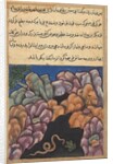 Page from Tales of a Parrot: Twenty-sixth night: The snake enters…, c. 1560 by Unknown