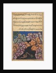 Page from Tales of a Parrot: Twenty-sixth night: The snake enters…, c. 1560 by Unknown