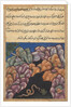 Page from Tales of a Parrot: Twenty-sixth night: The snake enters…, c. 1560 by Unknown