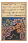 Page from Tales of a Parrot: Twenty-sixth night: The snake enters…, c. 1560 by Unknown