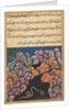 Page from Tales of a Parrot: Twenty-sixth night: The snake enters…, c. 1560 by Unknown