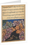 Page from Tales of a Parrot: Twenty-sixth night: The snake enters…, c. 1560 by Unknown