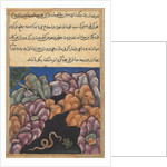 Page from Tales of a Parrot: Twenty-sixth night: The snake enters…, c. 1560 by Unknown