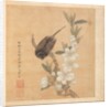 Paintings after Ancient Masters: A Bird and Peach-Blossom Branch, 1598-1652 by Chen Hongshou
