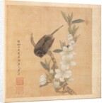 Paintings after Ancient Masters: A Bird and Peach-Blossom Branch, 1598-1652 by Chen Hongshou