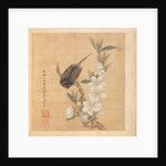 Paintings after Ancient Masters: A Bird and Peach-Blossom Branch, 1598-1652 by Chen Hongshou