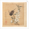Paintings after Ancient Masters: A Bird and Peach-Blossom Branch, 1598-1652 by Chen Hongshou