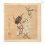 Paintings after Ancient Masters: A Bird and Peach-Blossom Branch, 1598-1652 by Chen Hongshou