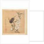Paintings after Ancient Masters: A Bird and Peach-Blossom Branch, 1598-1652 by Chen Hongshou