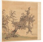 Paintings after Ancient Masters: An Ancient Tree, 1598-1652 by Chen Hongshou