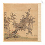 Paintings after Ancient Masters: An Ancient Tree, 1598-1652 by Chen Hongshou