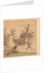 Paintings after Ancient Masters: An Ancient Tree, 1598-1652 by Chen Hongshou