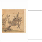 Paintings after Ancient Masters: An Ancient Tree, 1598-1652 by Chen Hongshou