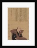 Pair of Portraits of Samurai-Officials: Hirai Kyosei and Hirai Rinsei, 1776 by Sando Hyosho; Tsukioka Settei