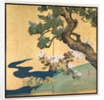 Paulownias and Chrysanthemums, late 1700s-early 1800s by Sakai Hoitsu