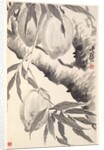 Peaches, 1788 by Min Zhen