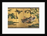 Peafowl and Phoenixes, late 1500s by Tosa Mitsuyoshi (attributed to)