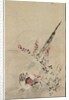 Pheasant and Grasses, late 17th-early 18th century by Ogata Korin (attributed to)