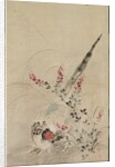 Pheasant and Grasses, late 17th-early 18th century by Ogata Korin (attributed to)