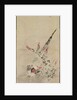 Pheasant and Grasses, late 17th-early 18th century by Ogata Korin (attributed to)