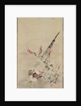 Pheasant and Grasses, late 17th-early 18th century by Ogata Korin (attributed to)