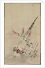 Pheasant and Grasses, late 17th-early 18th century by Ogata Korin (attributed to)