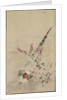 Pheasant and Grasses, late 17th-early 18th century by Ogata Korin (attributed to)