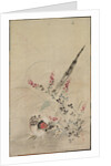 Pheasant and Grasses, late 17th-early 18th century by Ogata Korin (attributed to)