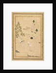 Picnic in the Mountains; Single Page Illustration, c. 1550-1600 by Muhammadi (style of)