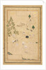 Picnic in the Mountains; Single Page Illustration, c. 1550-1600 by Muhammadi (style of)
