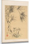Pine Tree and Fungus, 19th century by Tsubaki Chinzan
