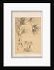 Pine Tree and Fungus, 19th century by Tsubaki Chinzan